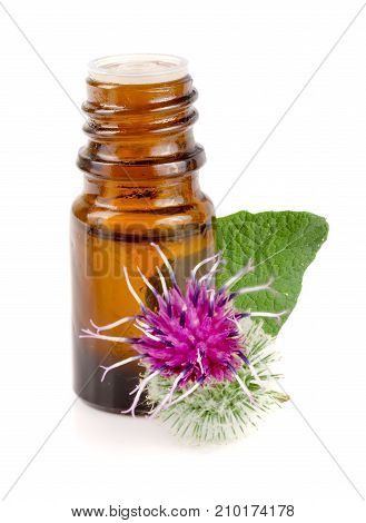 burdock oil in glass bottle and burdock flowers isolated on white background.
