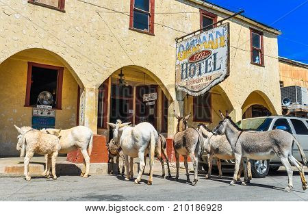 OATMAN, ARIZONA, USA - MAY 15, 2013: Historic Hotel on Route 66 in Oatman, Arizona.
