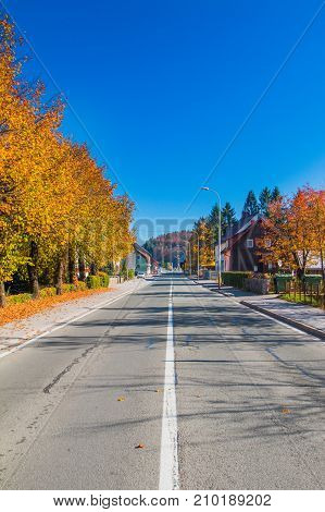 Road in the center of Delnice, small town in Gorski kotar, Croatia