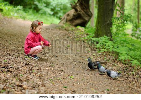Girl feeds city pigeons in the park.