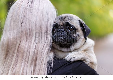 Blonde girl with long hair having fun with doggie mops in the park outdoors. Young woman with puppy playing and walking on the nature background. Close-up of dog and owner.