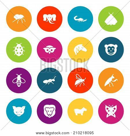Collection Of Bumblebee, Butterfly, Arachnid And Other Elements.  Set Of 16 Zoo Icons Set.