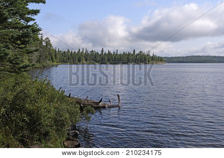 North Woods Lake on a Quiet Summer Day in the Boundary Waters in Minnesota