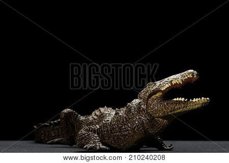 an aligator toy in a black background