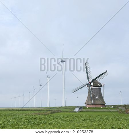 old windmill goliath at roodeschool in the dutch province of groningen between row of modern wind turbines