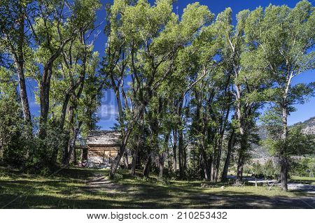 Abandoned settler cabi