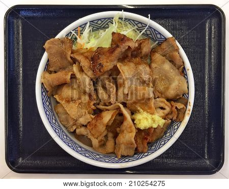 japanese grilled pork on hot rice in bowl set