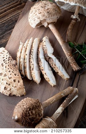 Macrolepiota Procera Is A Very Tasty Edible Mushroom