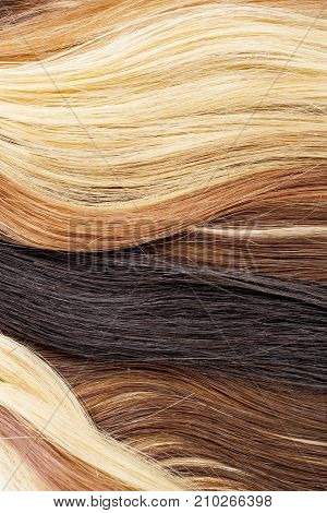Real woman hair texture. Human hair weft, Dry hair with silky volumes. Real european human hair wallpaper texture. Brown blond dark blonde and black.