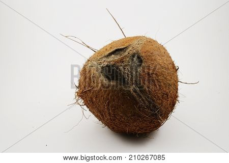 funny coconut look like a human face