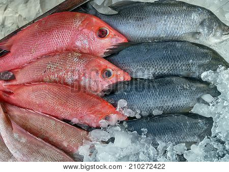 Seafood On Ice At The Fish Market