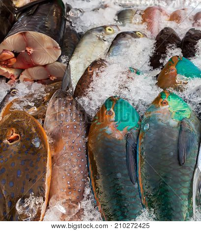 Fish Displayed At A Fish Market