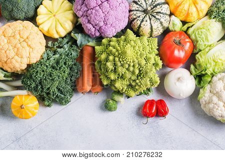 Overhead view, healthy eating, colorful rainbow vegetables on the light grey background, copy space for text below, selective focus