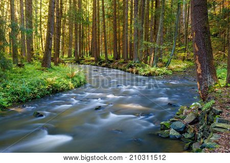 Autumn, Fall Wild River Doubrava, Picturesque Landscape.