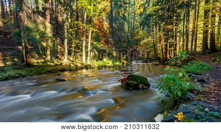 Autumn, Fall Wild River Doubrava, Picturesque Landscape.