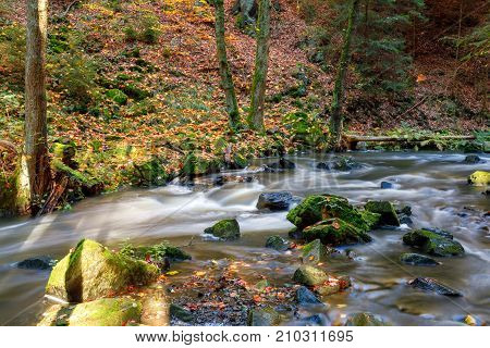Autumn, Fall Wild River Doubrava, Picturesque Landscape.