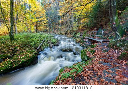 Autumn, Fall Wild River Doubrava, Picturesque Landscape.