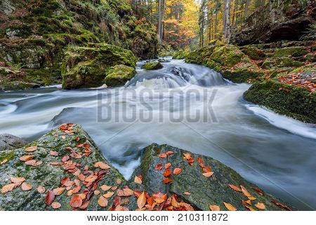 Autumn, Fall Wild River Doubrava, Picturesque Landscape.