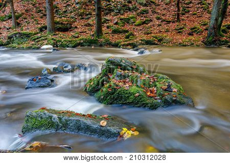 Autumn, Fall Wild River Doubrava, Picturesque Landscape.