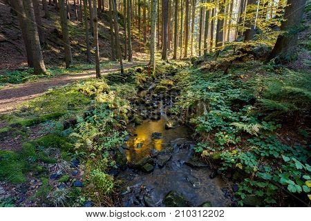 Autumn, Fall Wild River Doubrava, Picturesque Landscape.