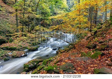 Autumn, Fall Wild River Doubrava, Picturesque Landscape.