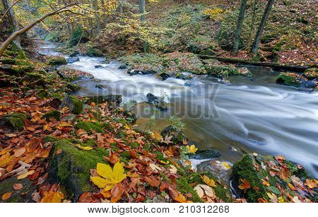Autumn, Fall Wild River Doubrava, Picturesque Landscape.