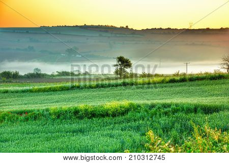 amazing from early morning foggy Sunrise !.