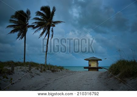Beautiful beach view. small lifeguard house palm trees and ocean on late evening light.