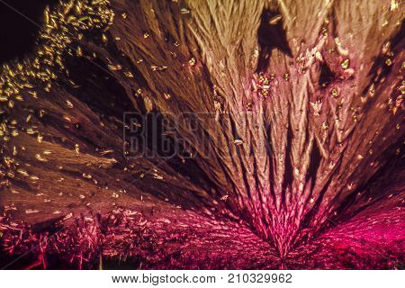 microscopic shot showing colorful microcrystals in polarised light