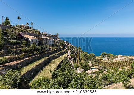 Cultivated terraces in Banyalbufar, Majorca (Balearic Islands, Spain)