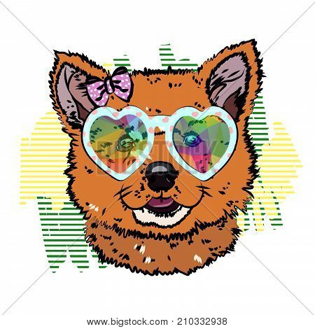 Little puppy akita inu. Print on a T-shirt with a dog. Vector illustration eps 10.
