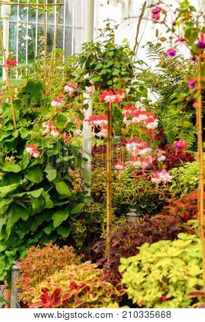 Botanic Gardens Belfast
