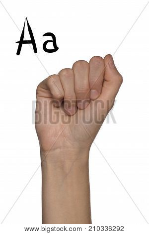 Alphabet for deaf-mutes people with hand gestures and a number letter on a white background