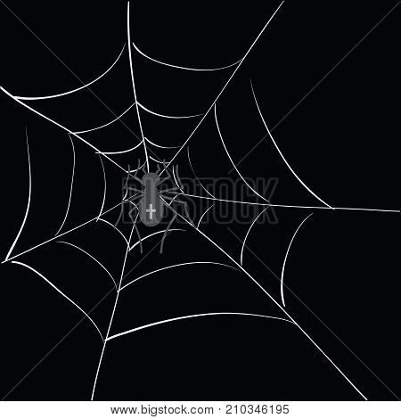 illustration with spider in web on black background