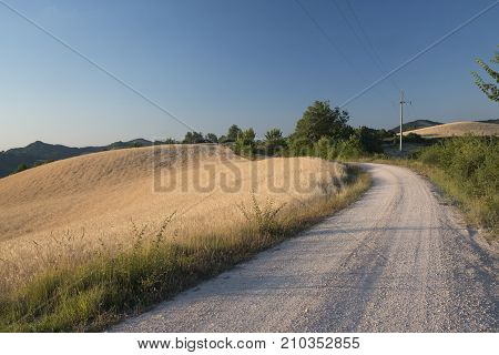 Summer landscape along the road from Urbania to Urbino (Montefeltro Pesaro Urbino Marches Italy)