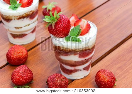Trifle , cake sponge with white cream