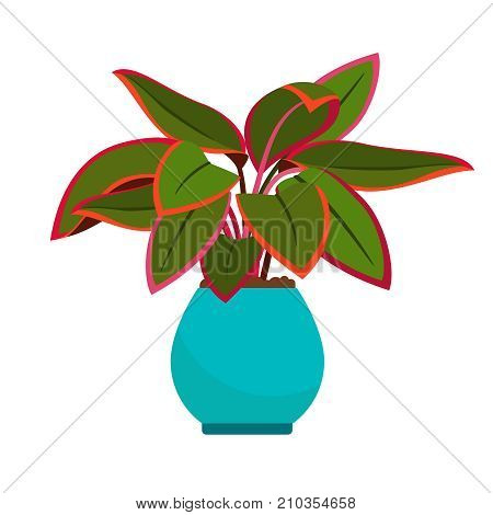 Aglaonema house plant in blue flower pot, vector icon on white background
