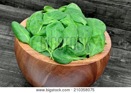 Fresh green baby spinach leaves in a bowl on gray wooden table