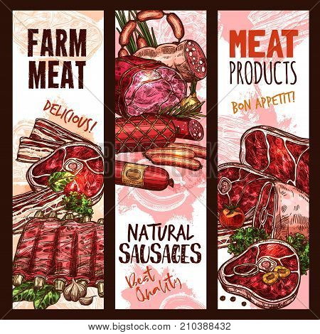 Meat farm products and natural sausages or delicatessen of pork ham, bacon or beef steak brisket, mutton ribs and tenderloin, salami and pepperoni or cervelat. Butcher shop or market vector sketch