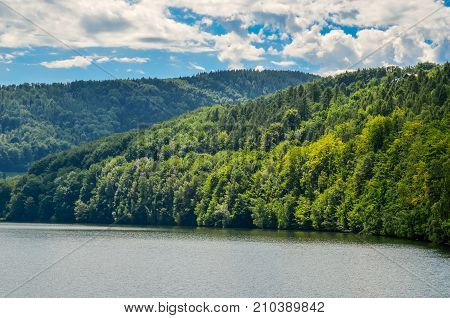 Beautiful summer landscape. Green trees on the shore river.