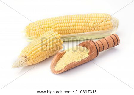 Maize with corn flour isolated on white background