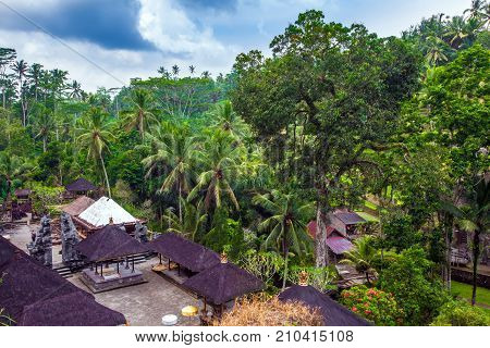 A large tropical tree in the middle of the courtyard of the temple and funerary complex in Tampaksiring. Top view of the roof. Gunung Kawi Temple, Bali, Indonesia.