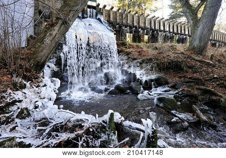 First frost in Sumava mountains, Czech republic