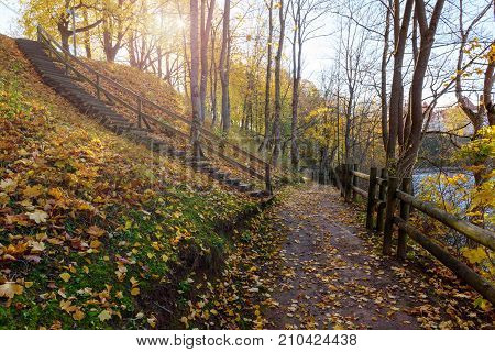 Road in sunny autumn park near Bauska town, Latvia