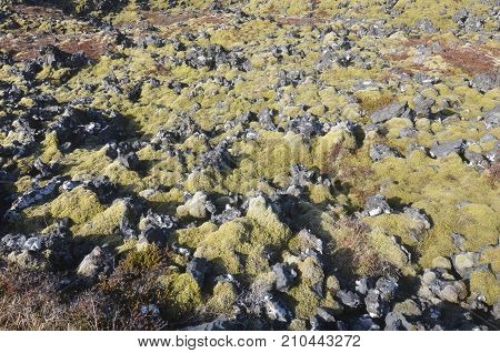 Icelandic landscape of the Snaefellsnes Peninsula with rocks and moss