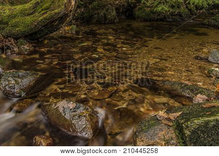 Javori Creek In Krkonose Mountains National Park In Autumn Color Day