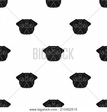 Breed of a dog, a pug.Pug s muzzle single icon in black style vector symbol stock illustration .