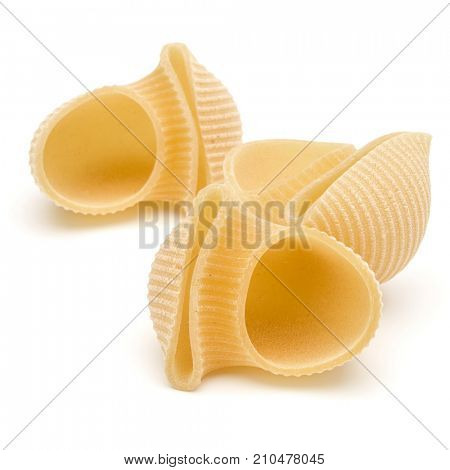 Italian lumaconi isolated on white background. Lumache, snailshell shaped pasta.