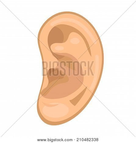 Ear icon flat style. Anatomy, medicine concept. Hearing sound. Isolated on white background. Vector illustration