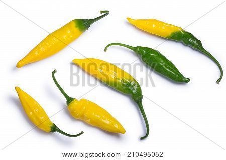 Aji Pineapple C. Baccatum, Paths, Top View